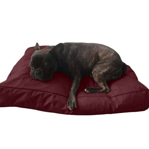 Beanbag Animal Large style CA-CH2-Beanbag Montreal