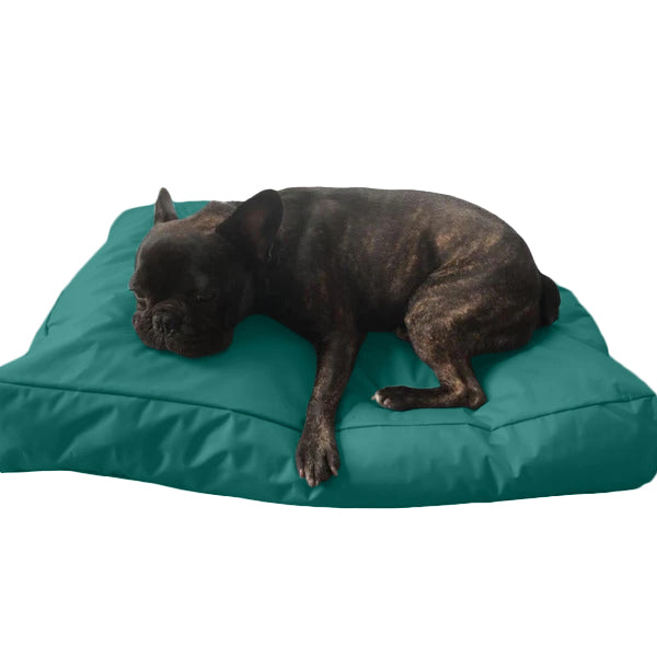Beanbag Animal Grand style CA-CH2
