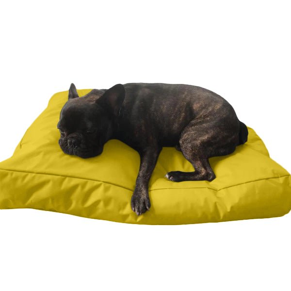 Beanbag Animal Large style CA-CH2-Beanbag Montreal