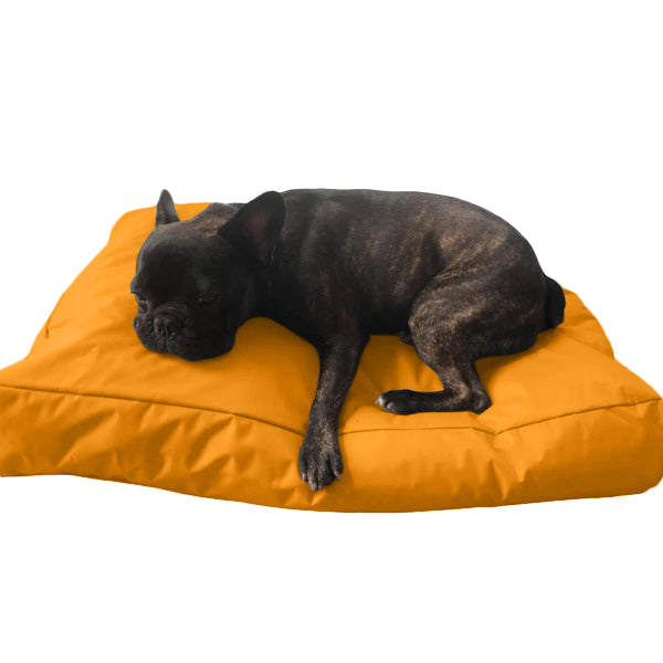 Beanbag Animal Grand style CA-CH2