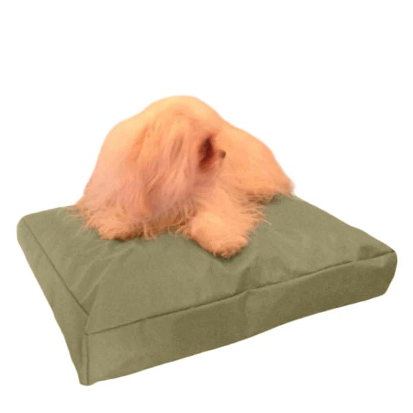 Beanbag Animal Medium style CA-CH3-Beanbag Montréal