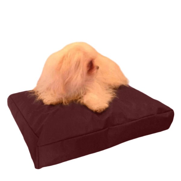 Beanbag Animal Medium style CA-CH3-Beanbag Montreal