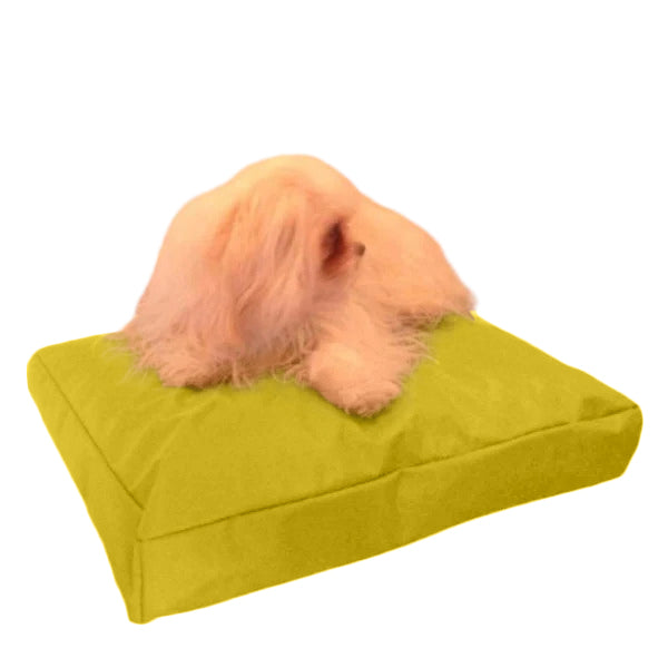 Beanbag Animal Medium style CA-CH3