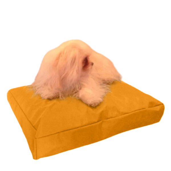 Beanbag Animal Medium style CA-CH3