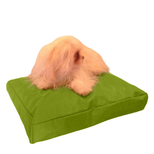 Beanbag Animal Medium style CA-CH3