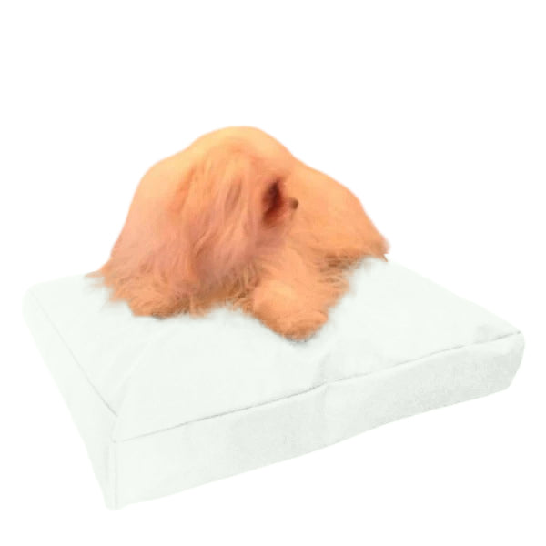 Beanbag Animal Medium style CA-CH3