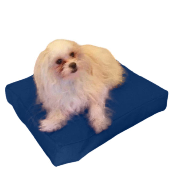 Beanbag Animal Petit style CA-CH4