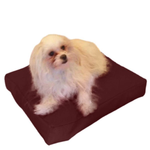 Beanbag Animal Small style CA-CH4-Beanbag Montreal