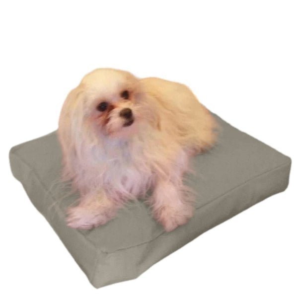 Beanbag Animal Petit style CA-CH4-Beanbag Montréal