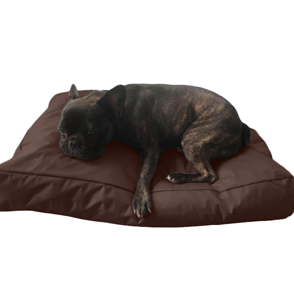 Beanbag Animal Grand style CA-CH2