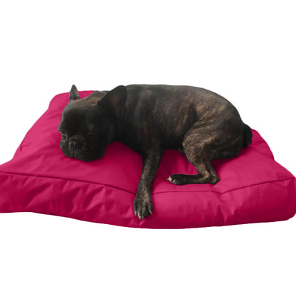 Beanbag Animal Large style CA-CH2-Beanbag Montreal