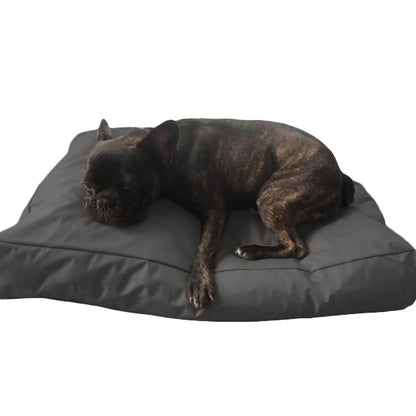 Beanbag Animal Large style CA-CH2-Beanbag Montreal