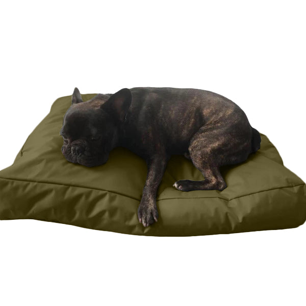 Beanbag Animal Grand style CA-CH2