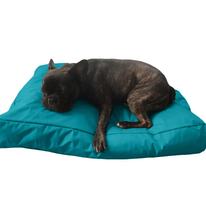 Beanbag Animal Large style CA-CH2-Beanbag Montreal