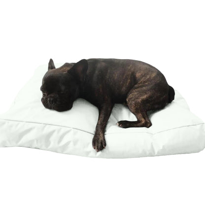 Beanbag Animal Large style CA-CH2-Beanbag Montreal