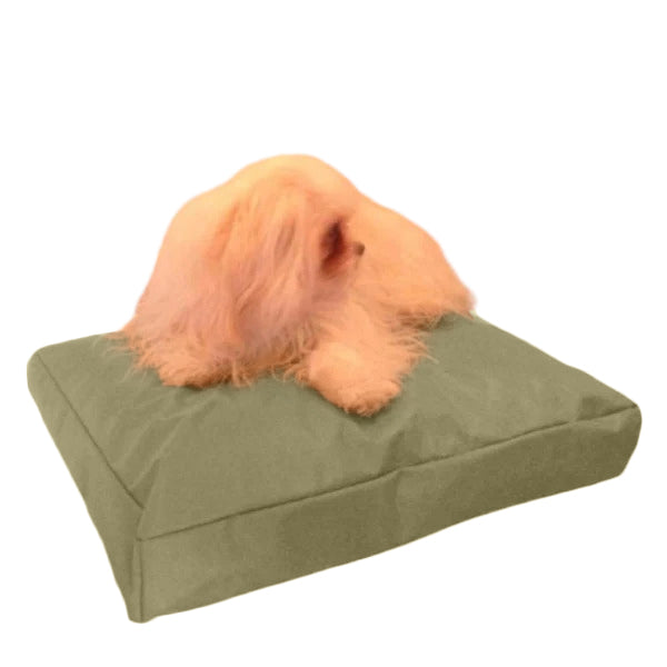 Beanbag Animal Medium style CA-CH3