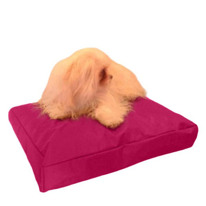Beanbag Animal Medium style CA-CH3-Beanbag Montreal