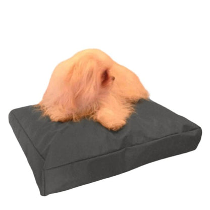 Beanbag Animal Medium style CA-CH3-Beanbag Montreal
