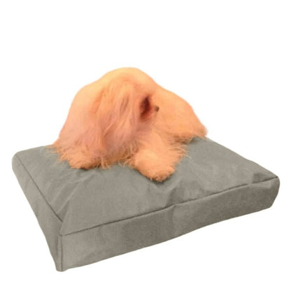 Beanbag Animal Medium style CA-CH3-Beanbag Montreal