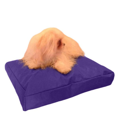 Beanbag Animal Medium style CA-CH3-Beanbag Montreal