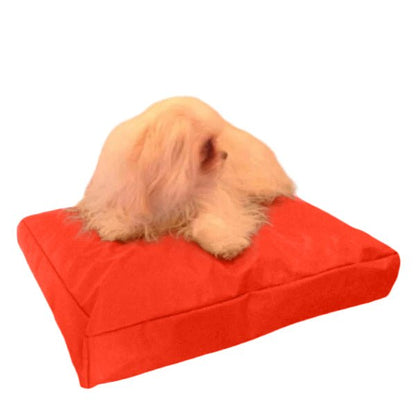Beanbag Animal Medium style CA-CH3-Beanbag Montreal