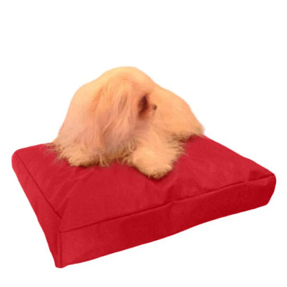 Beanbag Animal Medium style CA-CH3-Beanbag Montreal