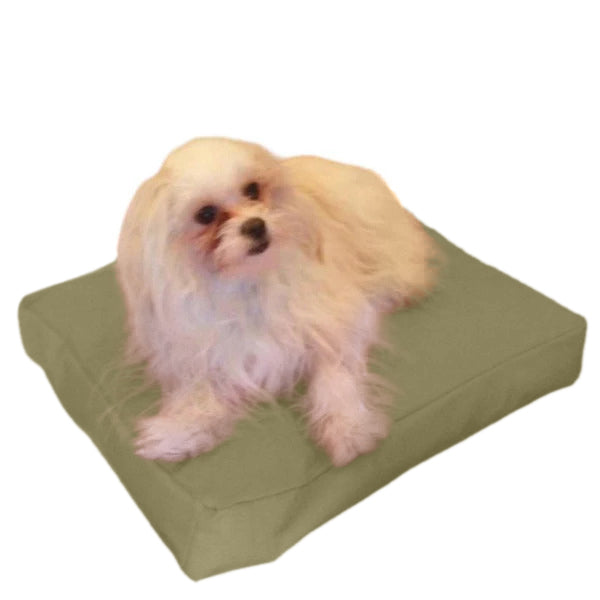 Beanbag Animal Petit style CA-CH4