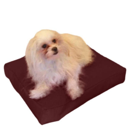 Beanbag Animal Small style CA-CH4-Beanbag Montreal