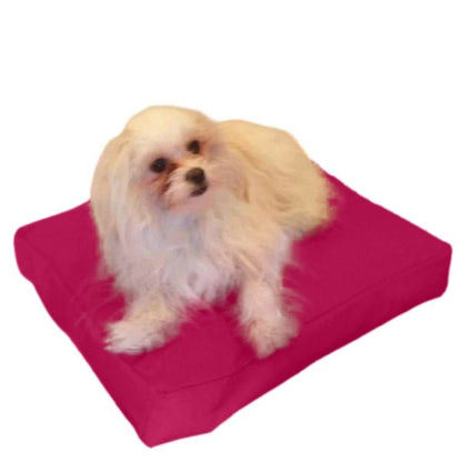 Beanbag Animal Small style CA-CH4-Beanbag Montreal