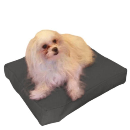 Beanbag Animal Small style CA-CH4-Beanbag Montreal