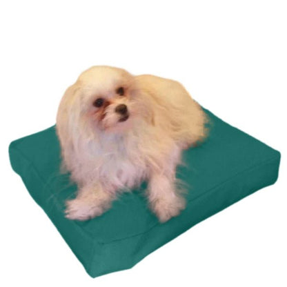Beanbag Animal Small style CA-CH4-Beanbag Montreal