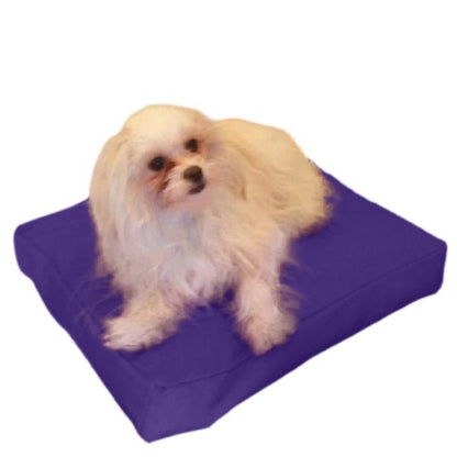 Beanbag Animal Small style CA-CH4-Beanbag Montreal