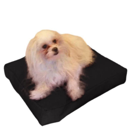 Beanbag Animal Small style CA-CH4-Beanbag Montreal