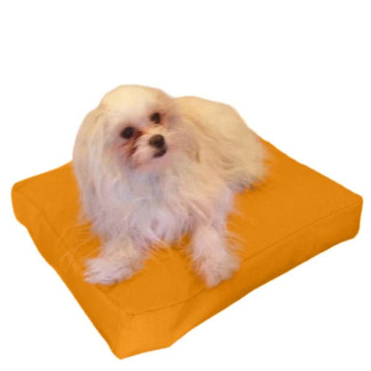 Beanbag Animal Small style CA-CH4-Beanbag Montreal