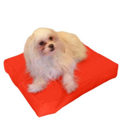 Beanbag Animal Small style CA-CH4-Beanbag Montreal