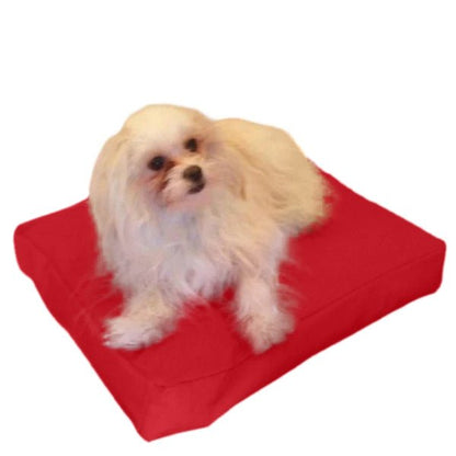 Beanbag Animal Small style CA-CH4-Beanbag Montreal