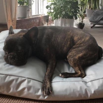 Beanbag Animal Large style CA-CH2-Beanbag Montreal