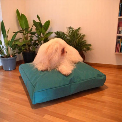Beanbag Animal Medium style CA-CH3-Beanbag Montreal