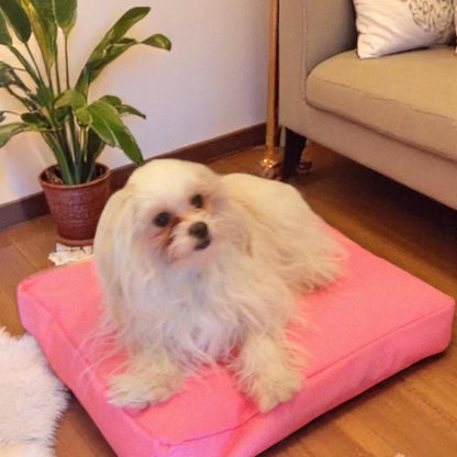 Beanbag Animal Small style CA-CH4-Beanbag Montreal
