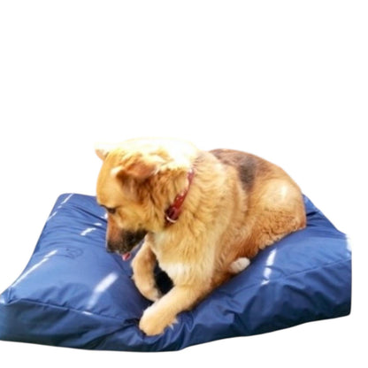 bean bag chair
bing bags
bean bag chairs
chair bean bag