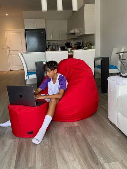 1 outer cover and 1 empty inner cover, FILLING NOT INCLUDED* New! Ergonomic Beanbag Pear Style CA198H XL