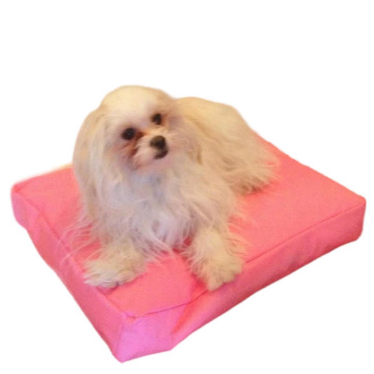 Beanbag Animal Petit style CA-CH4