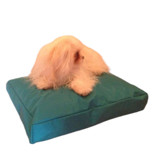 Beanbag Animal Medium style CA-CH3